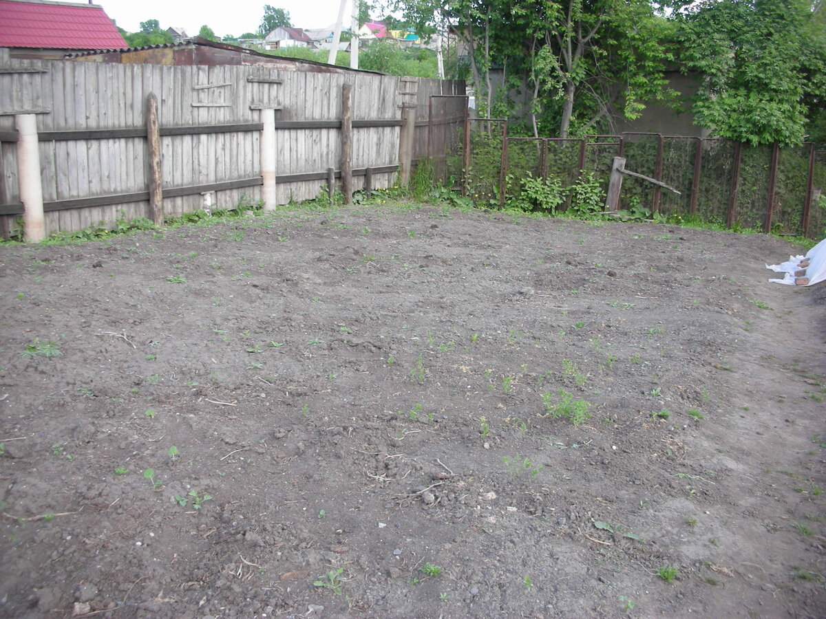 Фото автора статьи