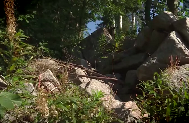 Фото : так выглядит свободный (по мнению администрации) проход по берегу.