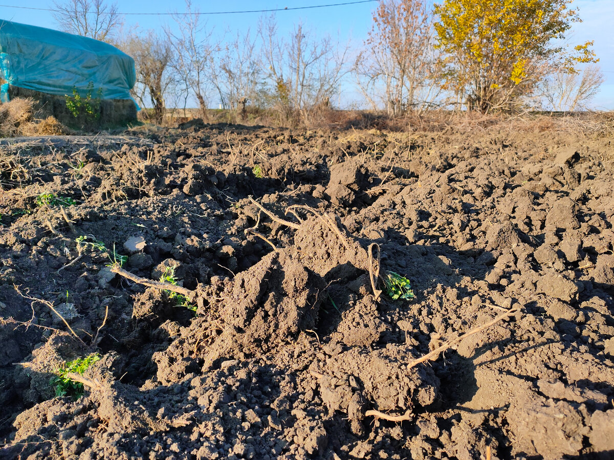 Фотография сделана автором канала 