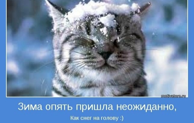 Фото из свободного доступа
