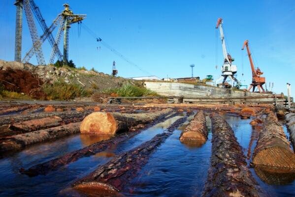 фото из интернета