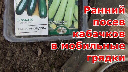 Посев кабачков в мобильные (переносные) грядки в поликарбонатной теплице. Подмосковье.