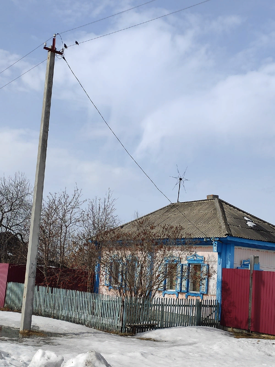 Вон сидят на проводах, заняли первый домик.