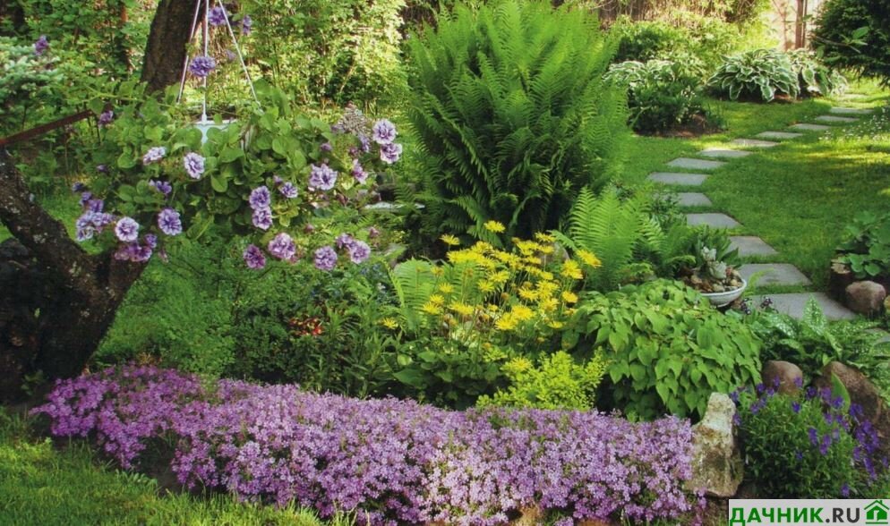 Клумбы миксбордеры непрерывного цветения четырех уголной формы