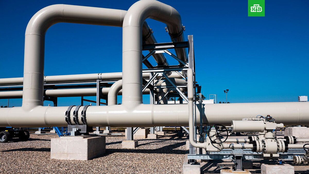    Фото: РИА Новости © 2023, Дмитрий Лельчук