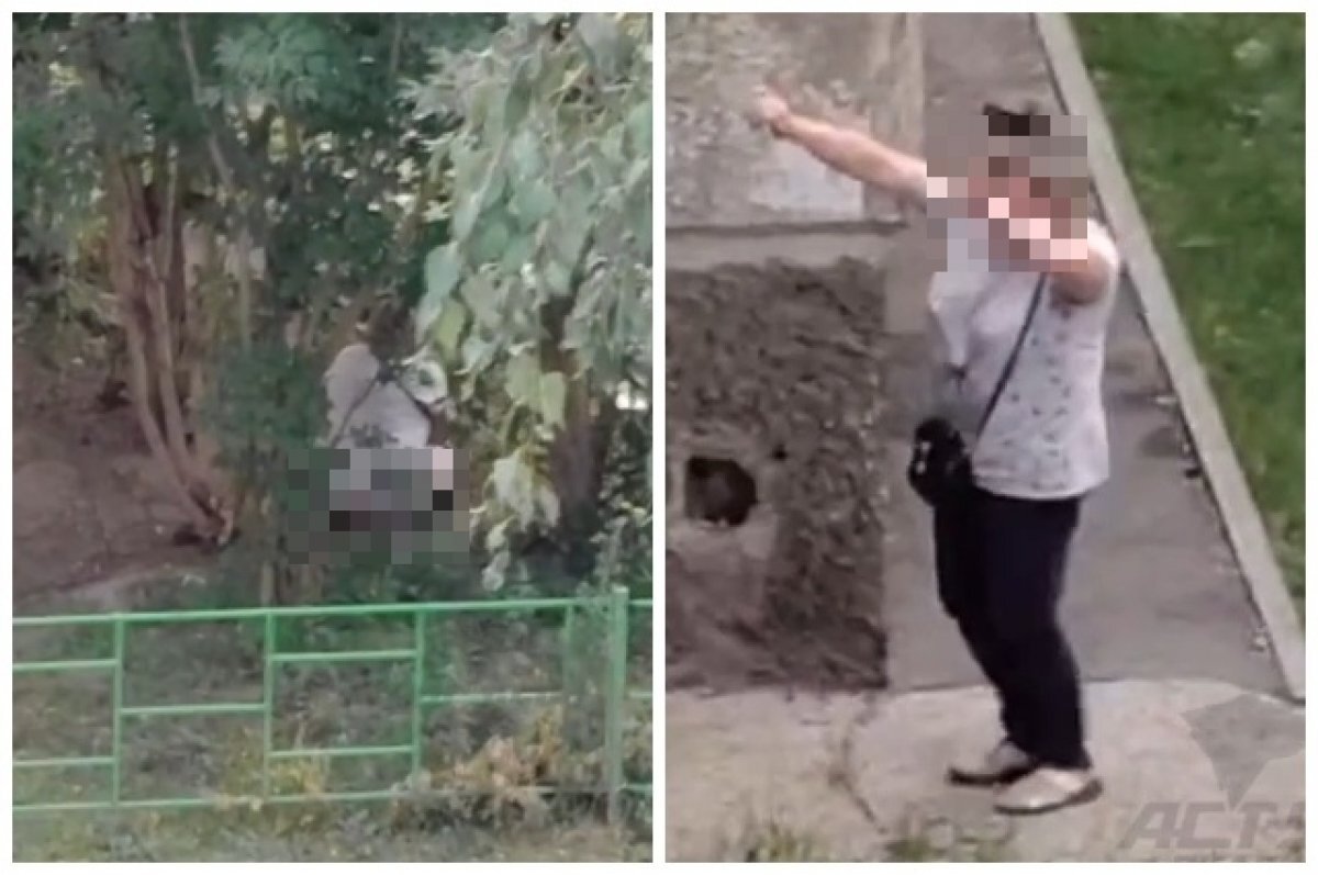    В Новосибирске женщина справила нужду посреди улицы Киевской