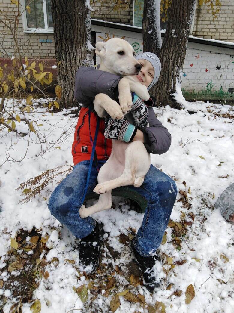 Первый снег. Из личного архива.