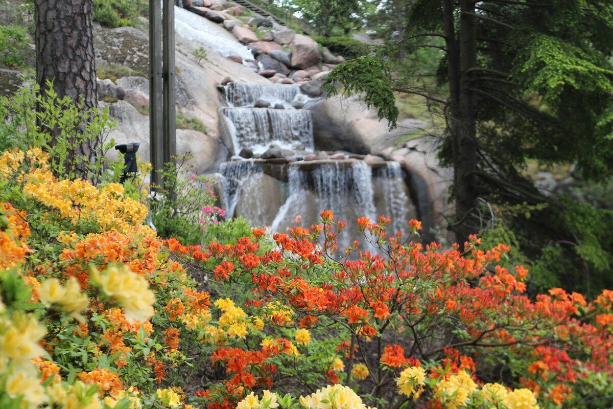 Парк Саппока - Sapokka Water Garden.