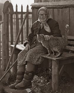 Фотография взята из просторов интернета