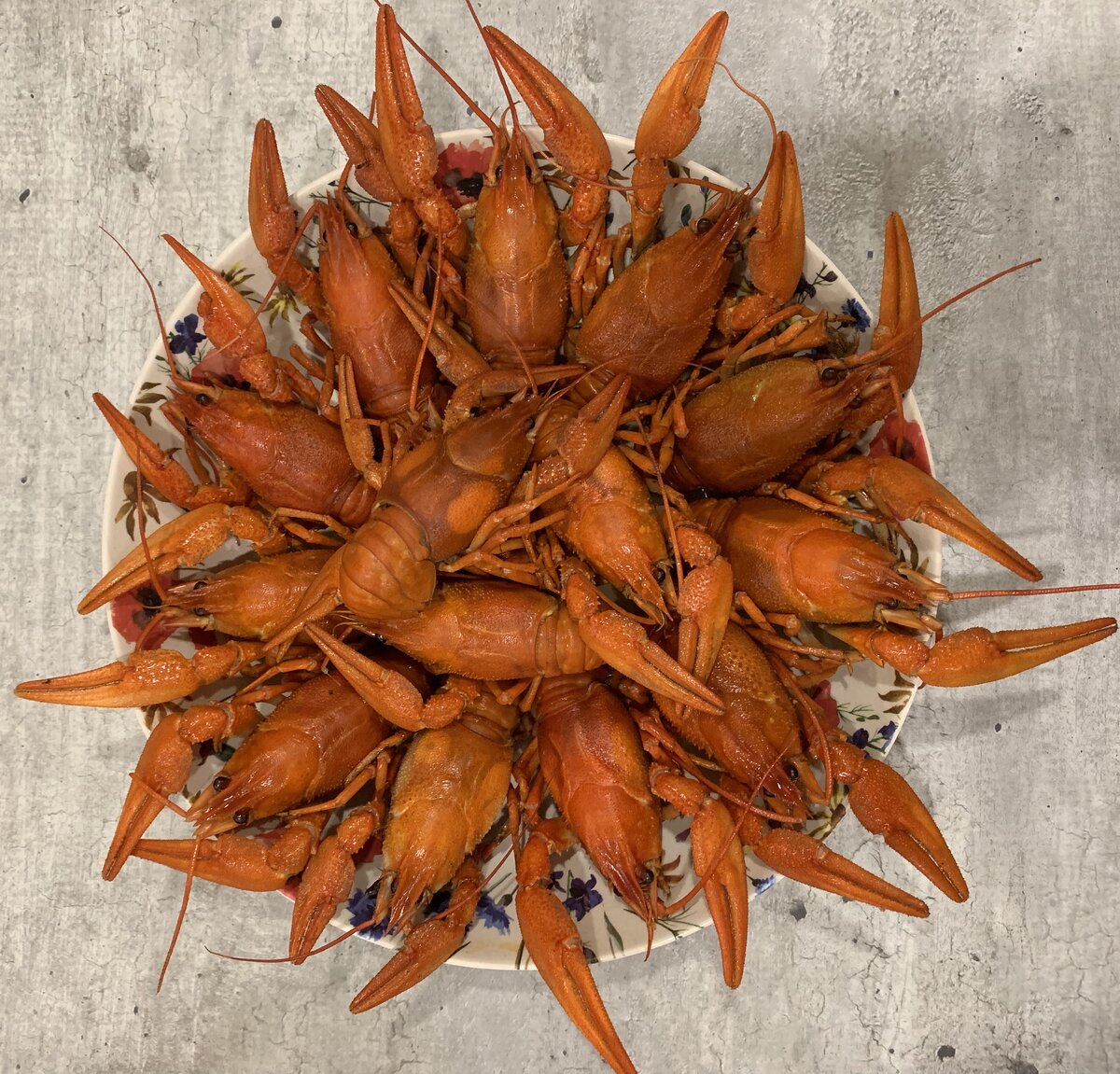 Ну красавчики же??