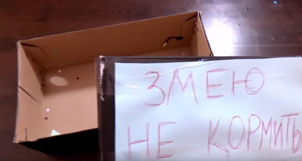 Простой пранк в школе «Змею не кормить»