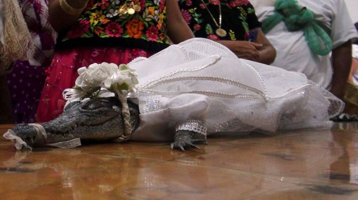 Кадр из видео youtube.com/watch?reload=9&v=F7GbQJJWP0o