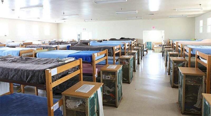 Источник: https://bigpicture.ru