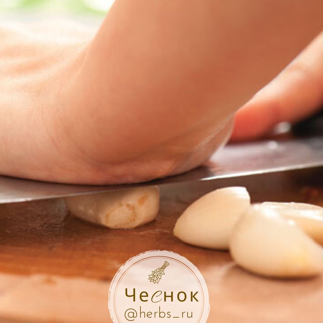 Измельчение зубчиков чеснока перед приготовлением еды поможет сохранить его полезные свойства.