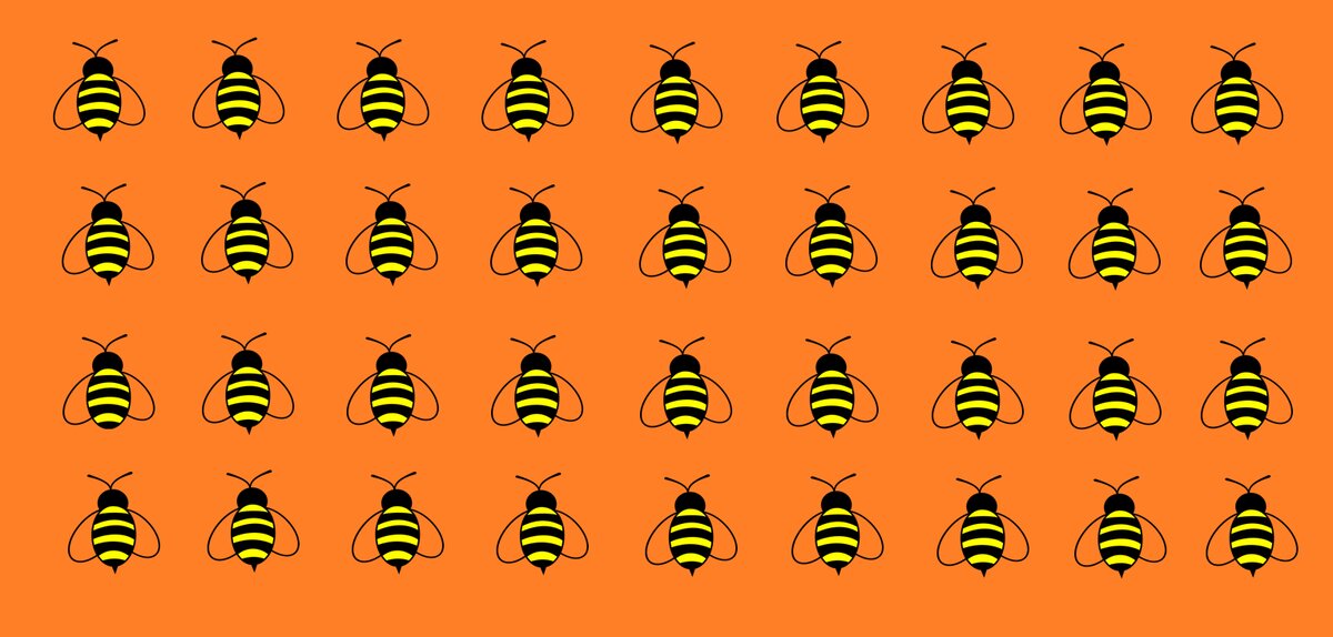 Пчелы 1 разбор