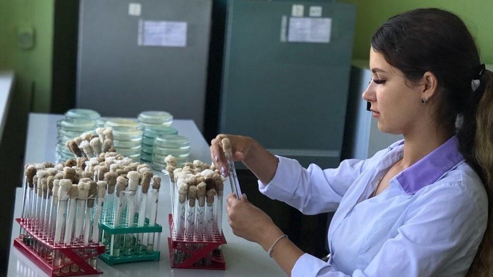 Изображение: КаспНИРХ