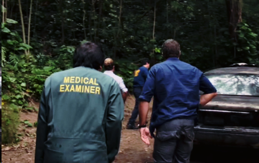 Фото Яндекса