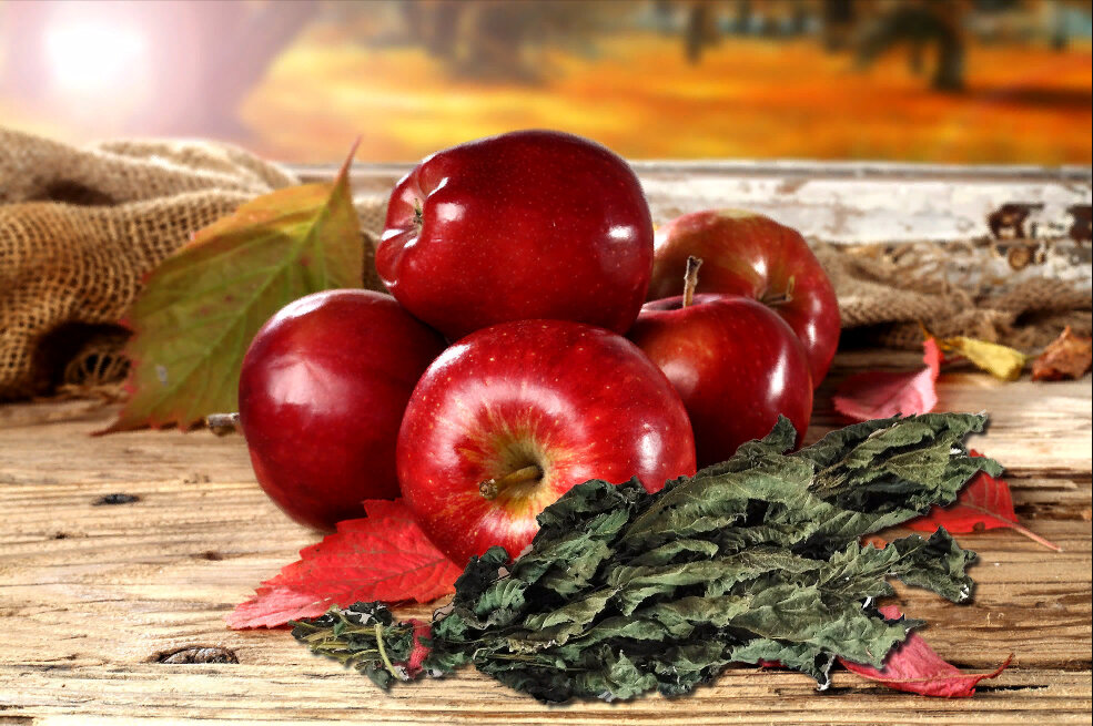2 Простых бюджетных способа, которые помогут вам сохранить яблоки в квартире свежими и сочными(!) до весны