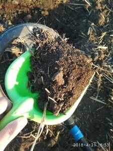 Лопатка заменяет пинпоинтер