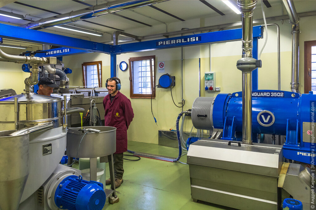 Маленький цех по производству оливкового масла