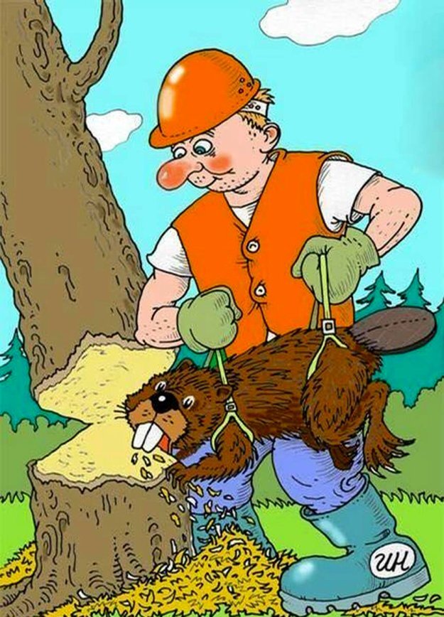 Дуб Букович on Twitter