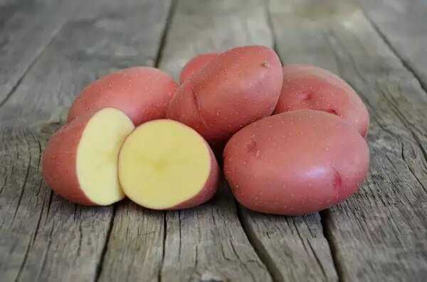 Красные сорта картофеля с желтой мякотью