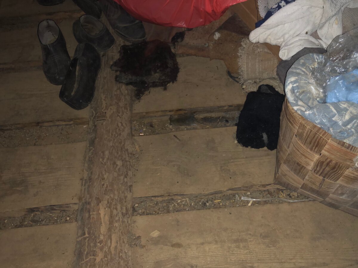 Найди мышь :)