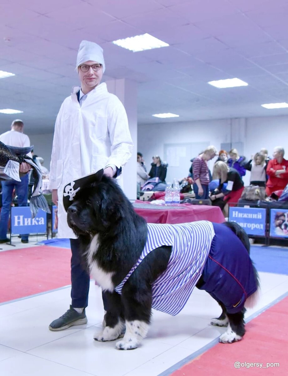 Чудесный Айболит со своим другом. Фото автора с выставки собак. Конкурс костюмов