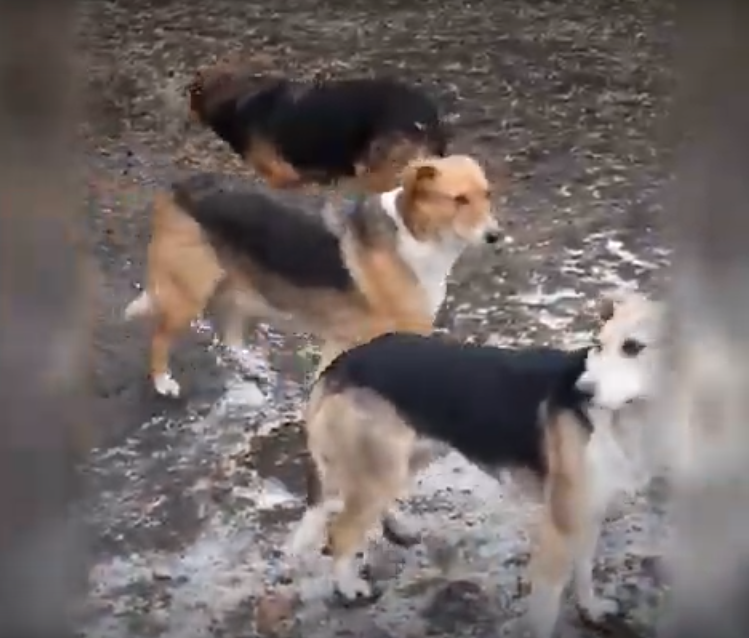 Те самые ребята