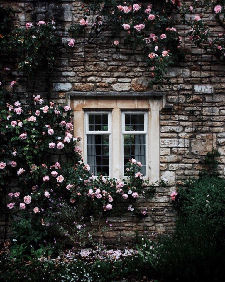 скоро закончится дождь. за ночью  придёт рассвет.
ты знай, что есть человек,
он спрячет тебя от бед.
ты будешь ждать его год. 
а может быть 10 лет. 
я верю, он точно придёт. 
ведь это твой человек. 
ты будешь с ним пить вино, говорить о любой ерунде, 
он точно тебя поймёт,
и скроет от злых людей. 
вы будете с ним заодно.
ты будешь ему доверять.
себя и мысли свои.
не думай что-то менять.
такой, есть не у всех.
я знаю, тебе повезёт.
ты, главное, не замкнись в себе.
рассвет уже настаёт.