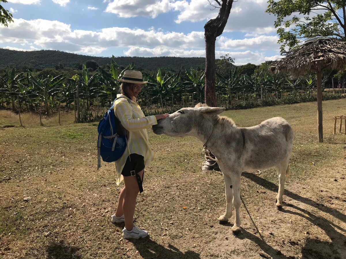 На экскурсионной ферме 