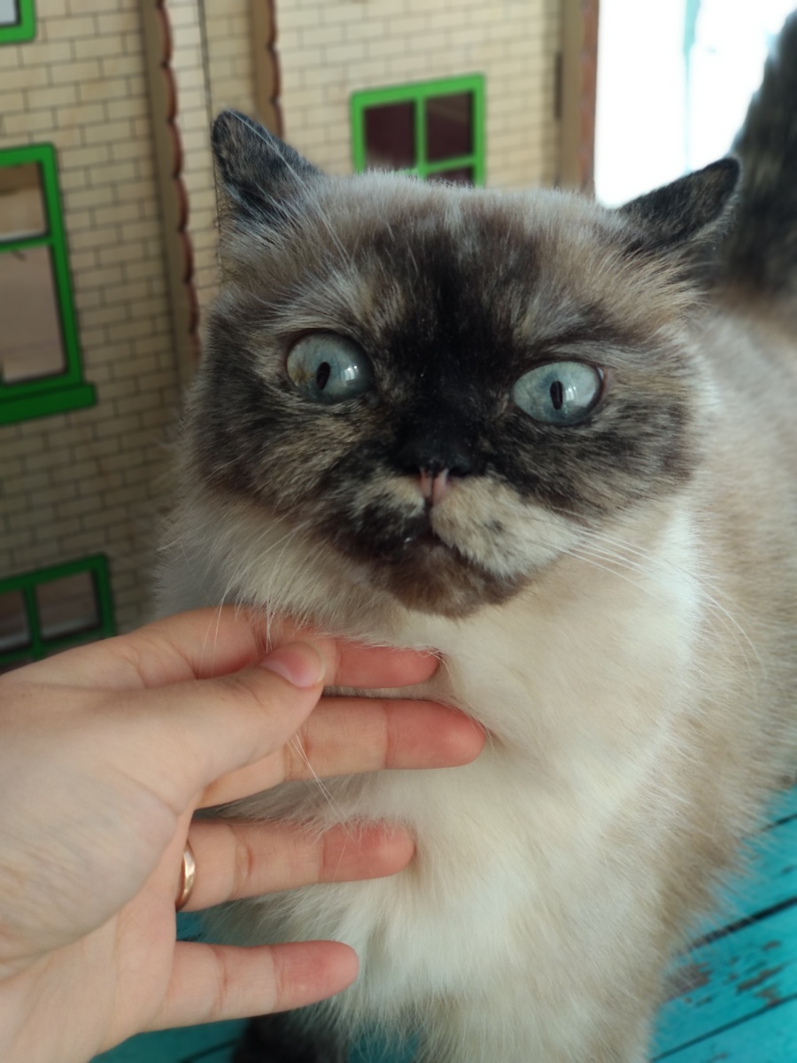 Фото автора