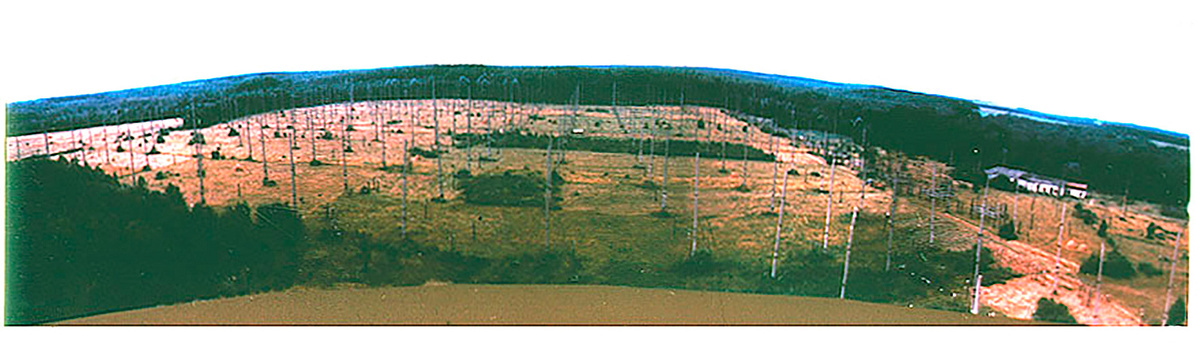 Юрий Токарев