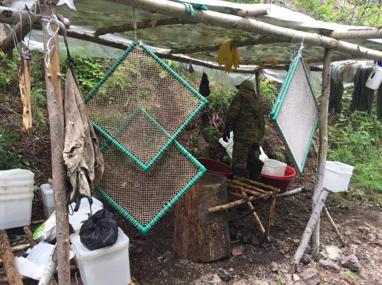 Рамки-грохотки. Это самодельные грохотки в браконьерском икорном цеху. Через такие рамки  протирается икра и становится - Пробойной!