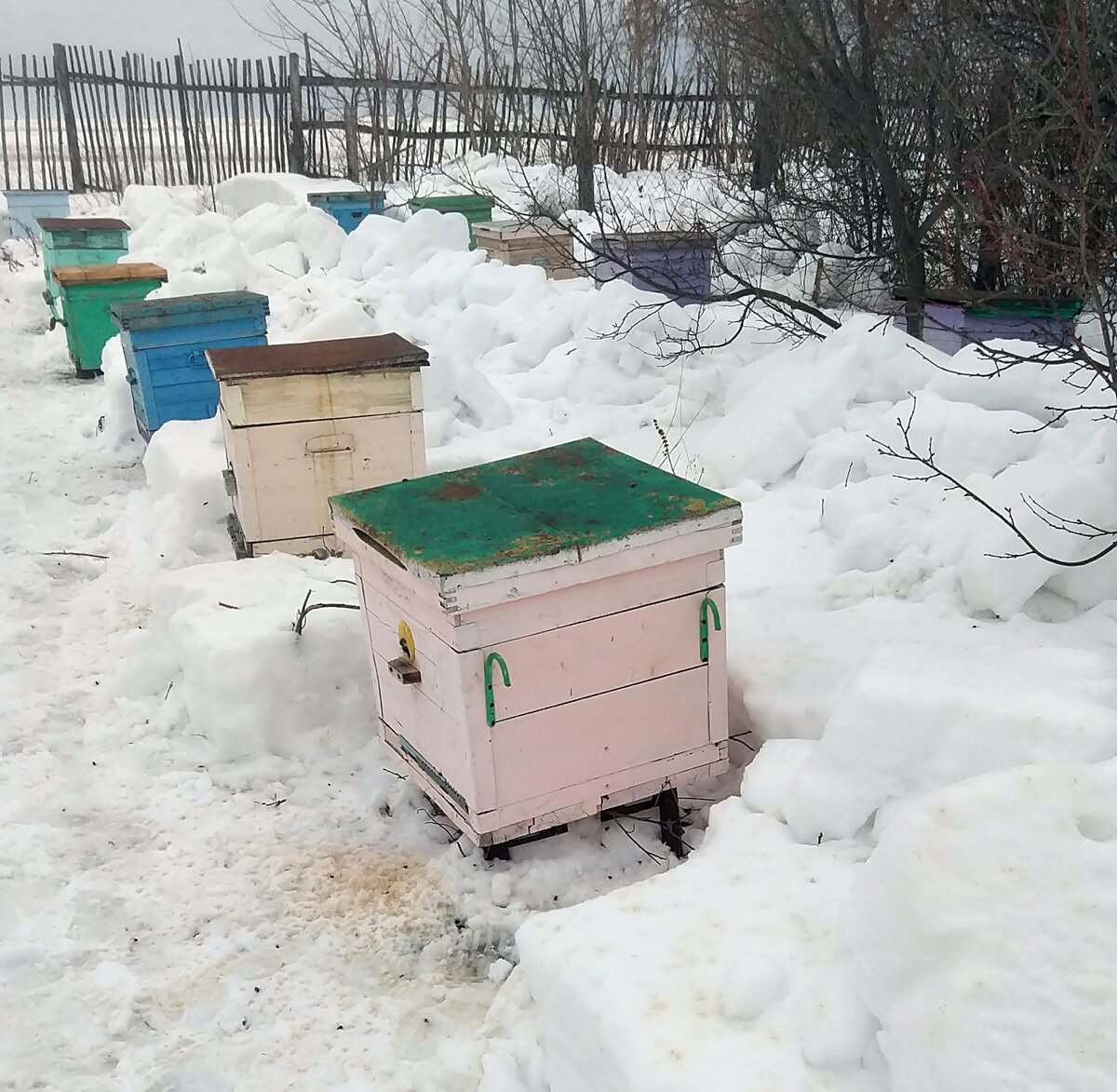 А вот так выставил уже в этом 2020 году. Легко увидеть, что улья стоят не на своих прошлогодних местах