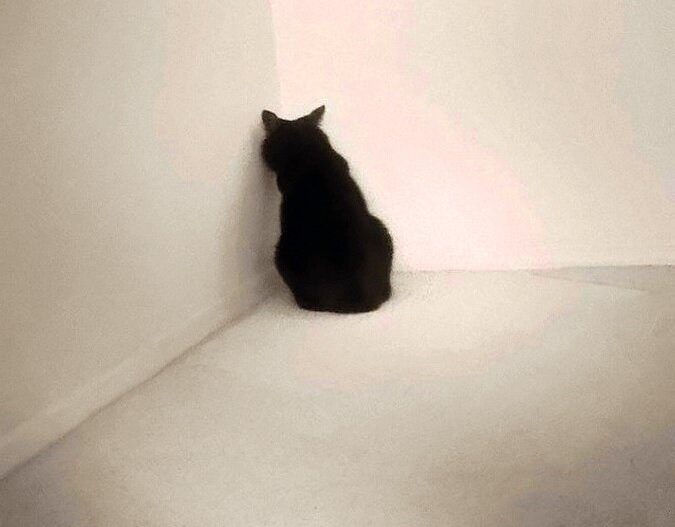 Из свободных источников.