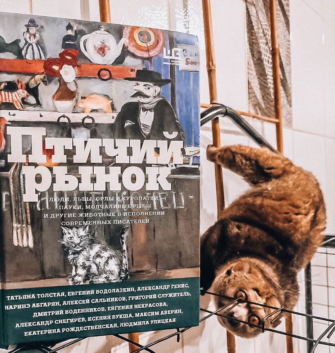 Фото из Инстаграма @knigoejki