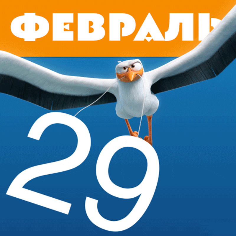 29 лет день рождения. Открытки с днем рождения 29 февраля. 29 февраля раз в 4 года. День рождения 29 февраля. Февраль 29 дней.