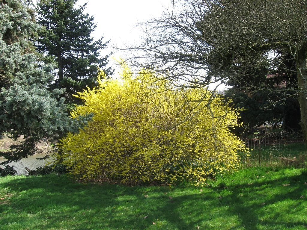 https://krrot.net/wp-content/uploads/2018/05/125-7.jpg