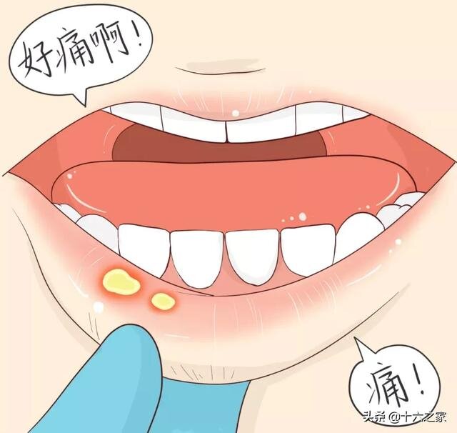 фото взято с сайта www.toutiao.com