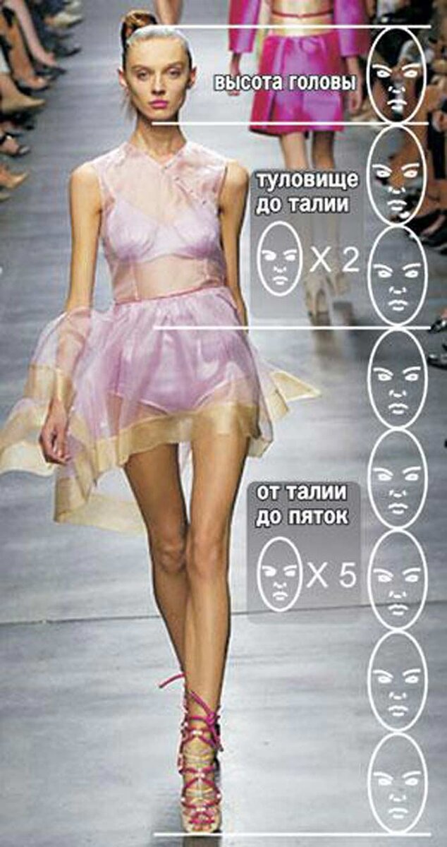 Стандарт худой модели, из Интернета