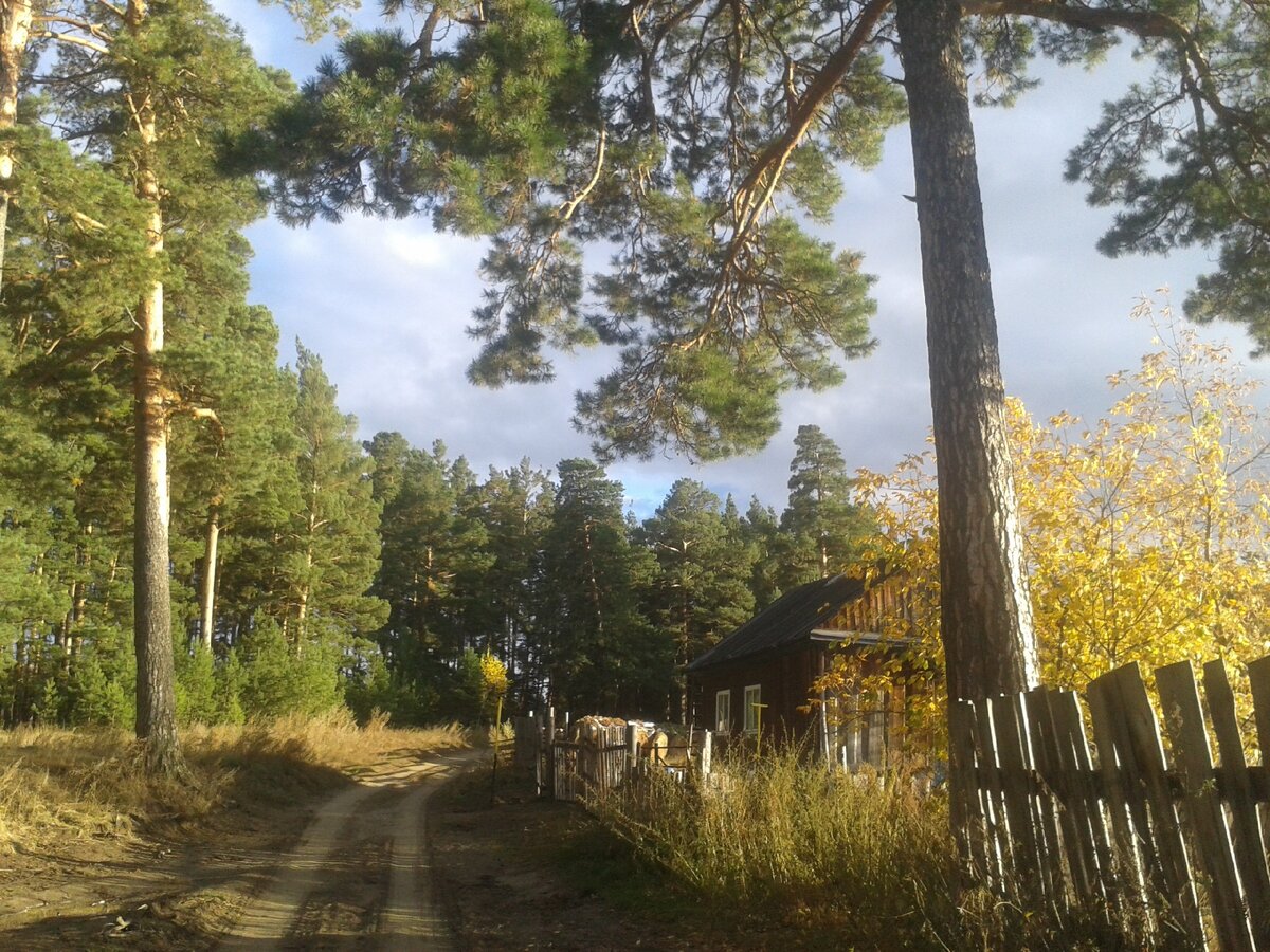 Наш дом на отшибе.