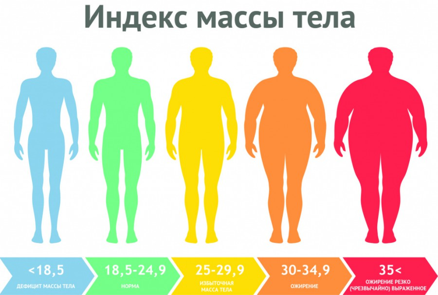 На этом изображении вы можете увидеть и самостоятельно посчитать, есть ли у вас повышение жировой массы или нет