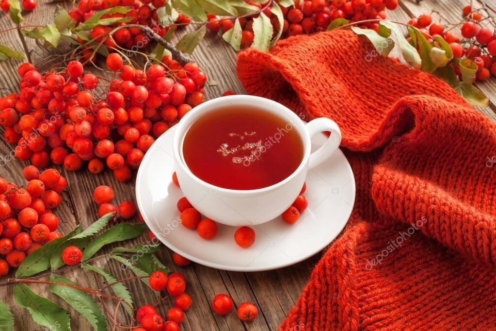 Рябиновый чай