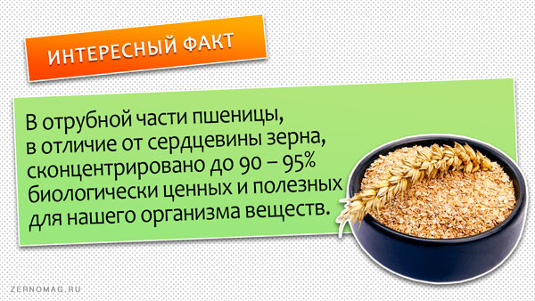 Пшеничные отруби обладают массой полезных веществ.
