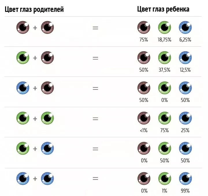 Какого цвета будут глаза у вашего ребенка? Схема для определения ...