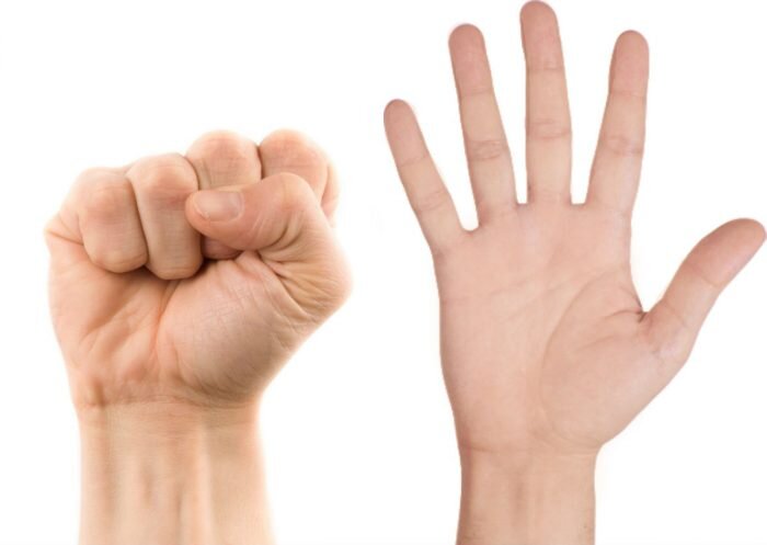 Упражнение «Кулачок»