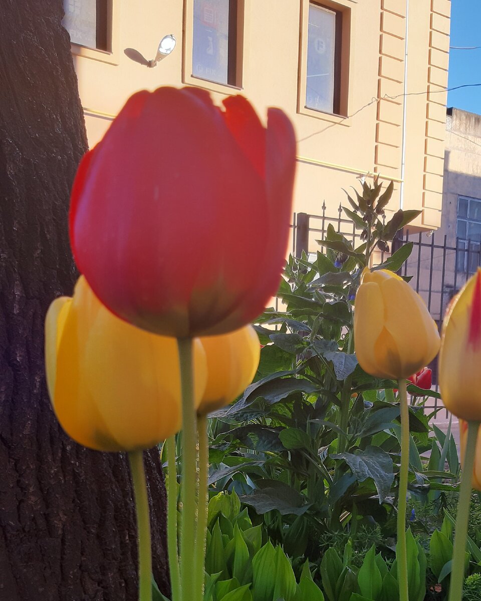 Помогите своим близким вернуться в реальность 