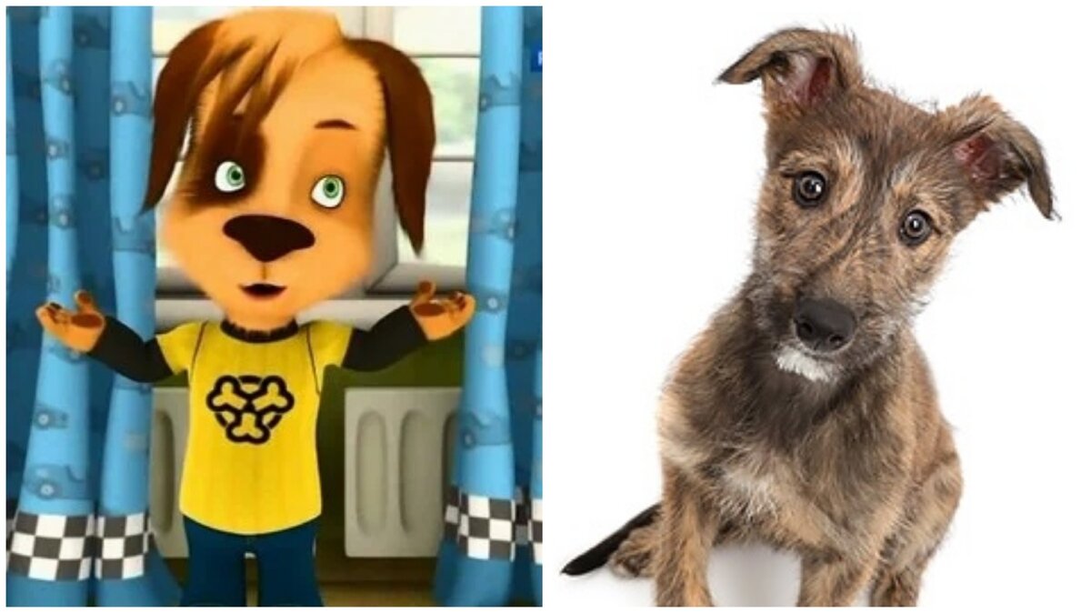 Картинка с Яндекс. Картинки 