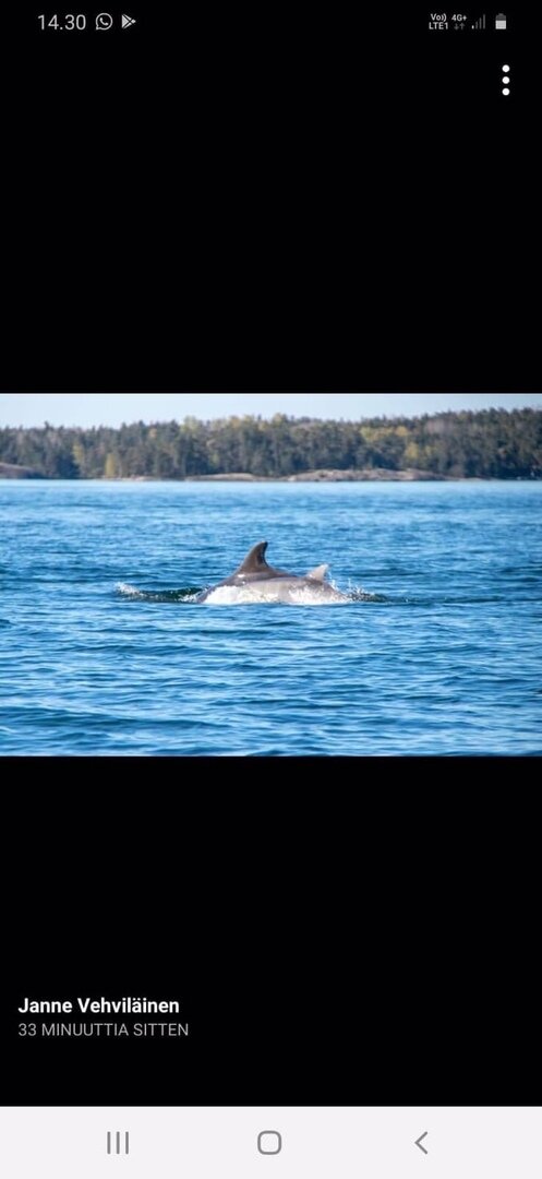Фотография Janne Vehvilainen или Игоря Епифанцева, не могу понять. Спасибо и тому, и другому.